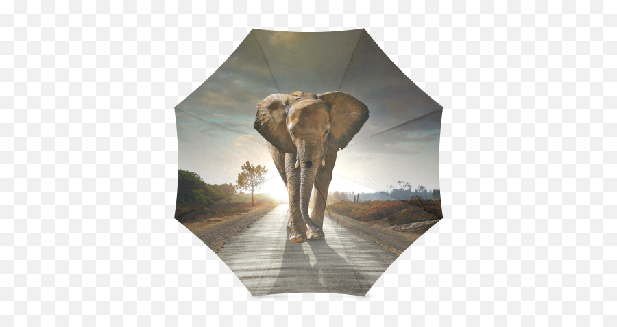 Interestprint Elephant Foldable Rain - Elephants High Quality Emoji,Umbrella Sun Emoji