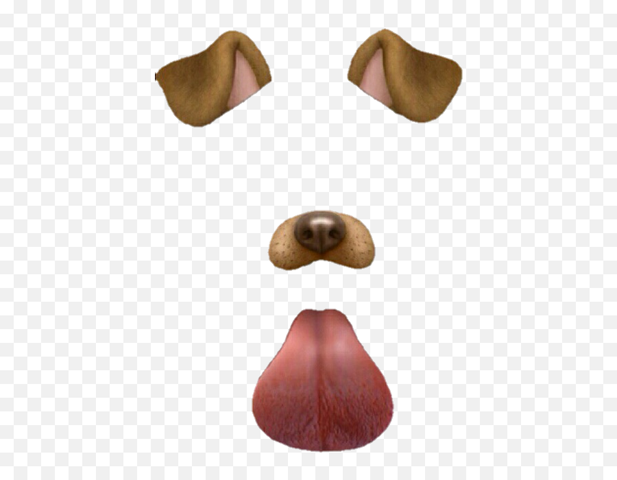 Overlay - Snapchat Dog Filter Png Emoji,Smirk Emoji Snap