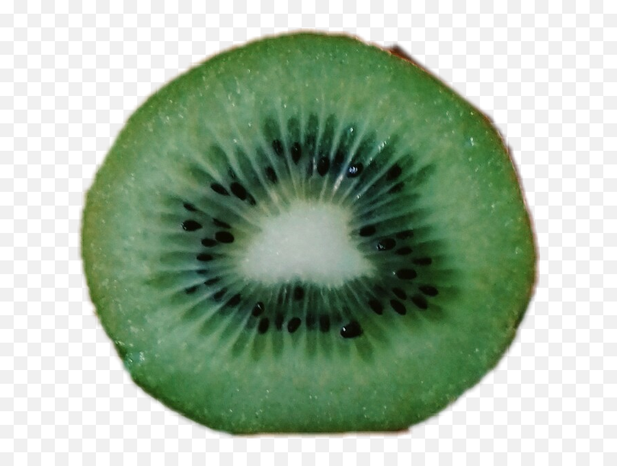 Sticker Kiwi Fruit Slice Green Sticker - Fresh Emoji,Kiwi Emoji