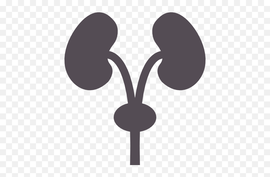 Of Nephrology Best Treatment Hospital - Nephrology Icon Emoji,Kidney Emoji