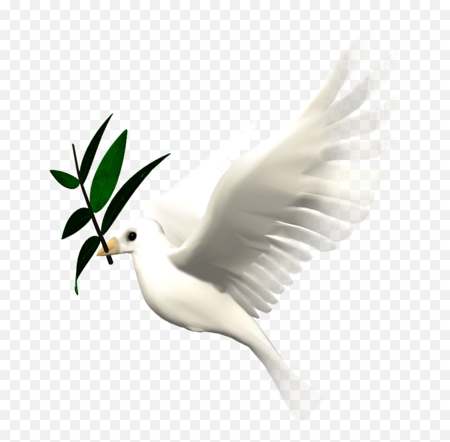 Bird Animation Giphy Clip Art - Animated Flying Dove Png Emoji,Flying Bird Emoji