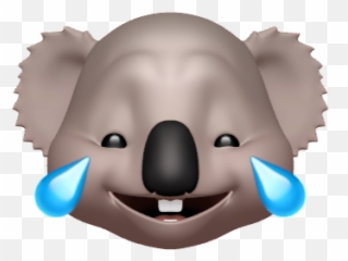 We - Koala Emoji,Bbc Emoji