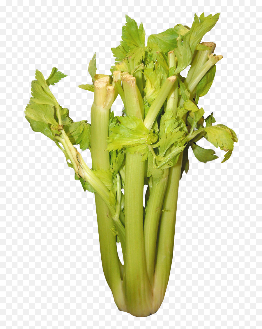 Download - Celery Emoji,Celery Emoji