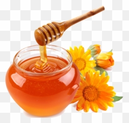 Honey Png Transparent Dripping Honey Honey Bee Free - Transparent Background Honey Png Emoji,Rosh Hashanah Emoji