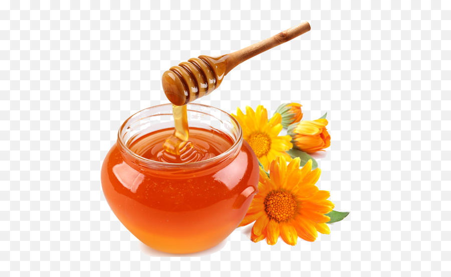 Honey Png Transparent Dripping Honey Honey Bee Free - Transparent Background Honey Png Emoji,Rosh Hashanah Emoji