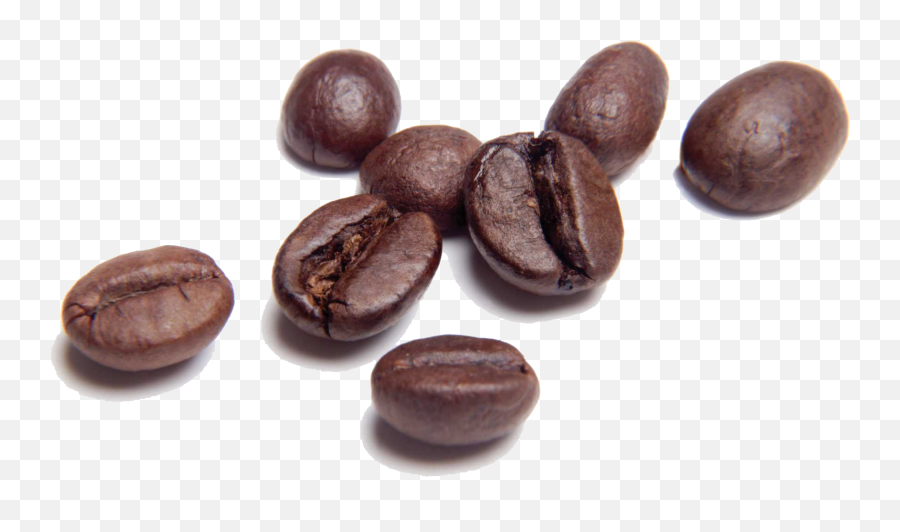 Free Coffee Beans Transparent Download - 3 Coffee Beans Png Emoji,Coffee Bean Emoji