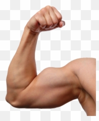 Spierbal Emoji Muscle Flex Png - Muscular Arm Transparent Background,Flex Emoji