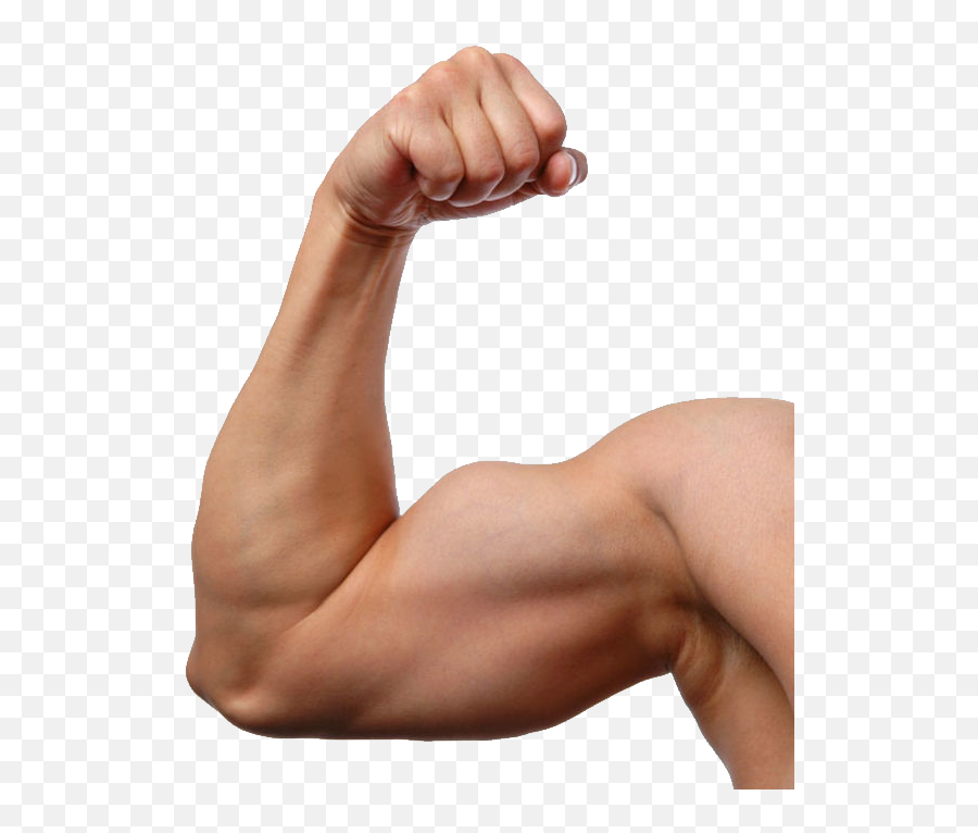 Spierbal Emoji Muscle Flex Png - Muscular Arm Transparent Background,Flex Emoji