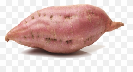Sweet Potato Png Picture - Sweet Potato Png Transparent Emoji,Yam Emoji