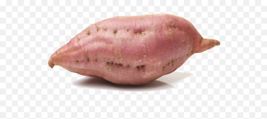 Sweet Potato Png Picture - Sweet Potato Png Transparent Emoji,Yam Emoji