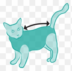 Size Measured From Collar To Base Of The Tail - Post Pooperacne Oblecenie Pre Macky Emoji,Weasel Emoji