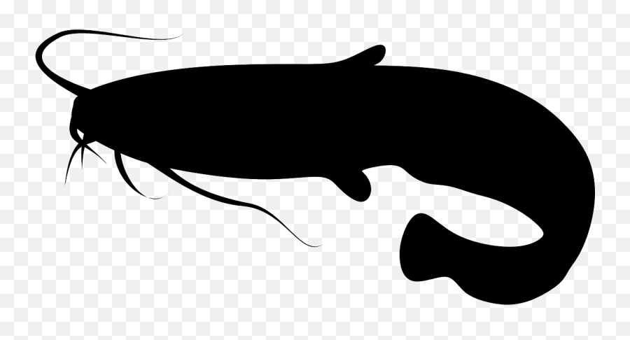 Fish Catfish Pet Water Lake - Catfish Silhouette Emoji,Fish Hook Emoji