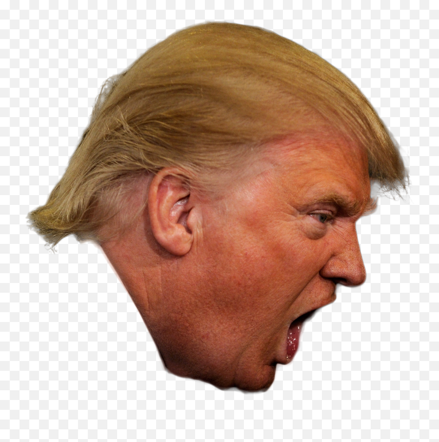 Donald Trump President Of The United - Trump Head Png Transparent Emoji,Emoji Of Trump