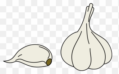 Garlic Garlic Clove Transparent Png - Garlic Lineart Emoji,Garlic Emoji