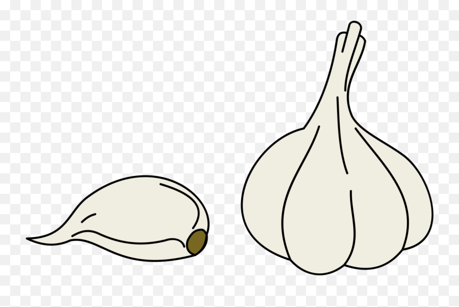 Garlic Garlic Clove Transparent Png - Garlic Lineart Emoji,Garlic Emoji