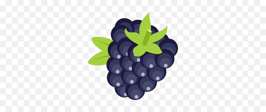 Blackberry Fruit - Blackberry Clipart Emoji,Mango Fruit Emoji
