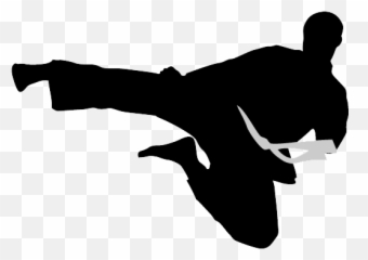 Karate Flyingkick Icon Karate Iconset Kampsport Find Hold - Martial Arts Silhouette Transparent Emoji,Karate Emoji