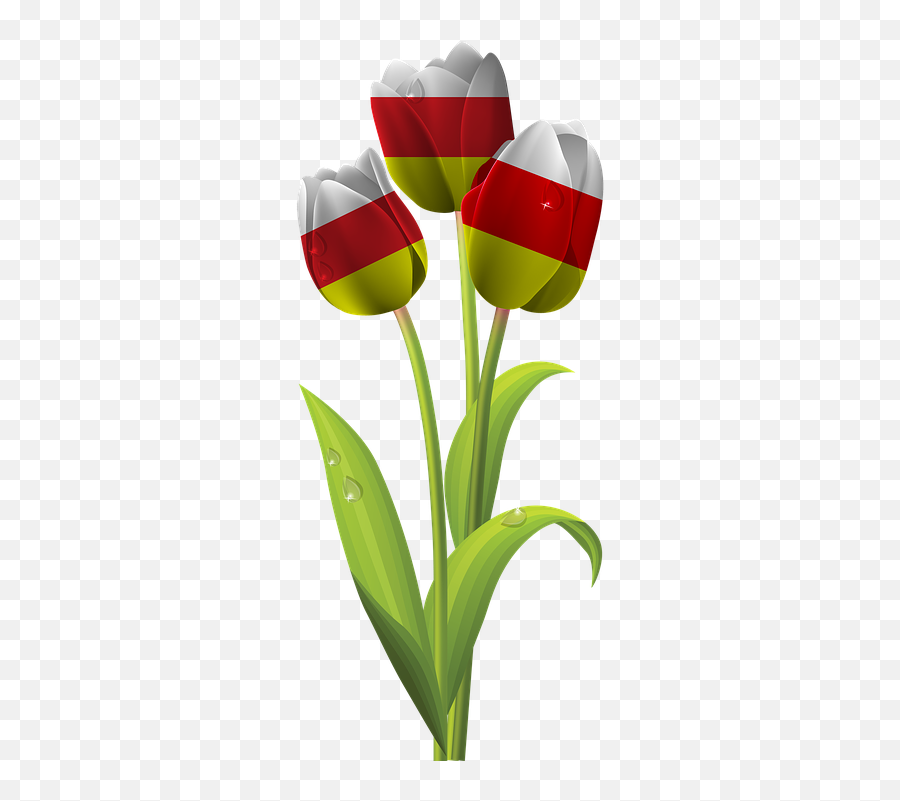 Tulip Iran Tajikistan - Tulip Clipart Emoji,Iran Flag Emoji