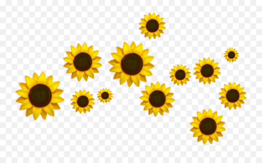 Flower Sunflower Emoji Crown Tumblr - Aesthetic Sunflower Emoji,Sunflower Emoji Transparent