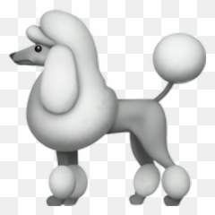 Emoji Sticker Poodle Dog Puppy White Fluffy Cute Emojid - Poodle Emoji Apple,Dog Emojis