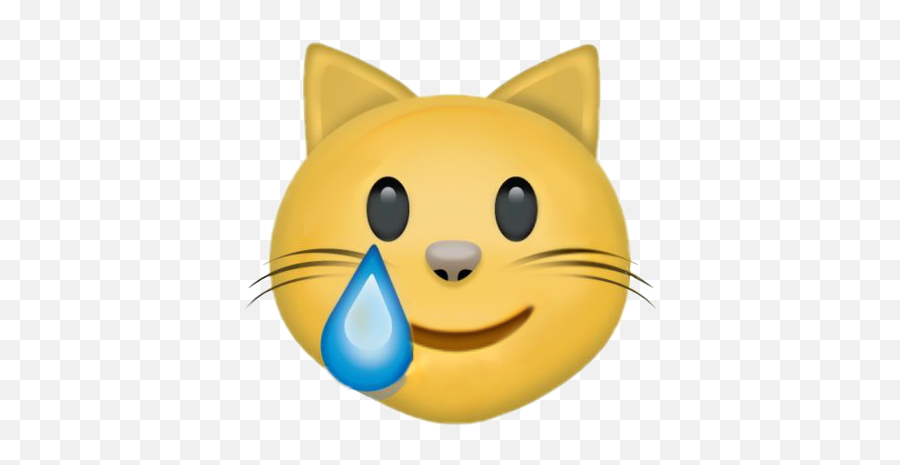 Gato Hailgrasa Hailsdlg Criiss Whatsapp - Crying Cat No Background Emoji,Emojis Do Whatsapp