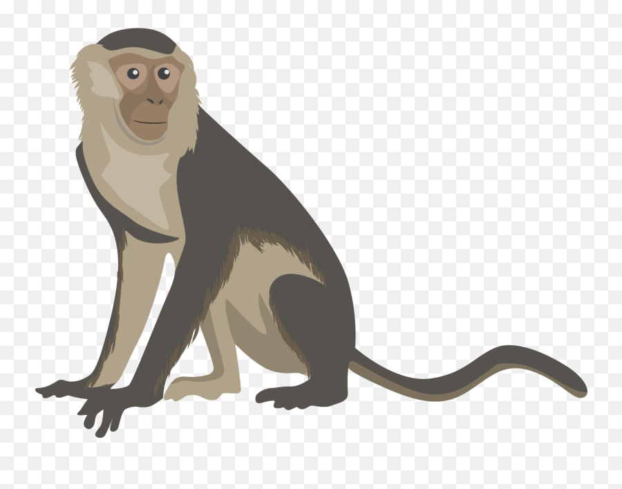 Free Transparent Monkey Download Free Clip Art Free Clip - Realistic Monkey Clipart Emoji,Monkey Emoji Transparent