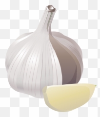 Garlic Clipart - Garlic Illustration Png Emoji,Garlic Emoji