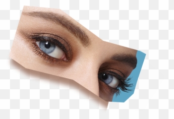 Botched Face Mashup - Impossible Bureau Siamese Emoji,Brown Nose Emoji