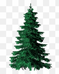 Clipart Trees Evergreen Clipart Trees - Vector Pine Tree Png Emoji ...