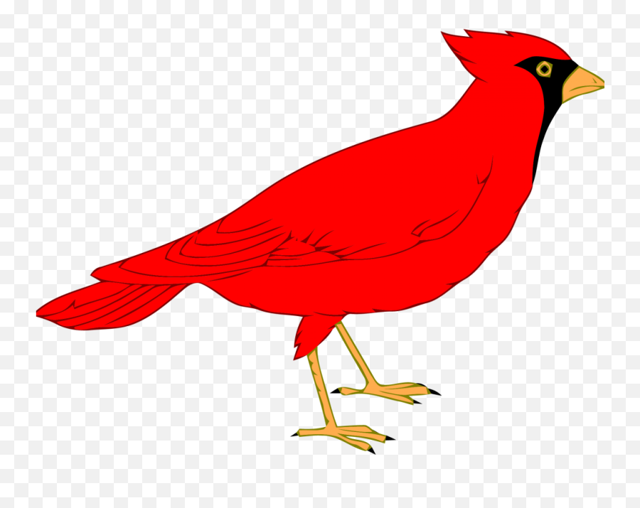 Northern Cardinal St - Cardinal Bird Clip Art Emoji,Cardinals Emoji