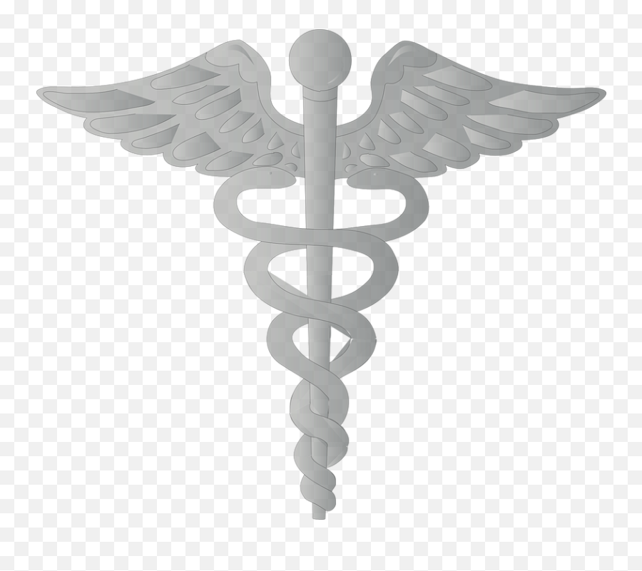 Aesculapian Staff Rod Of Asclepius - Red Cross With Snake Logo Emoji,Rod Of Asclepius Emoji