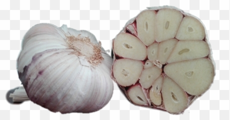Ajos Garlic - Garlic Emoji,Garlic Emoji