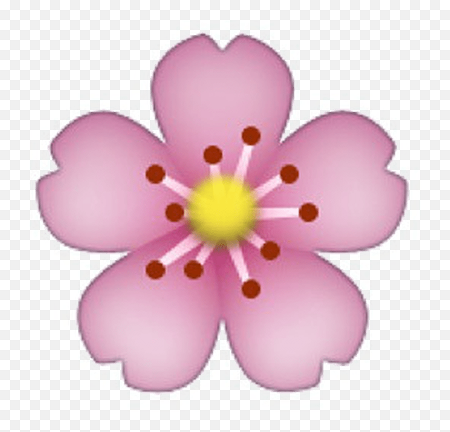 Download Hd Tumblr Emoji Transparent Transparent Background - Cherry Blossom Emoji Png,Emoji Tumblr