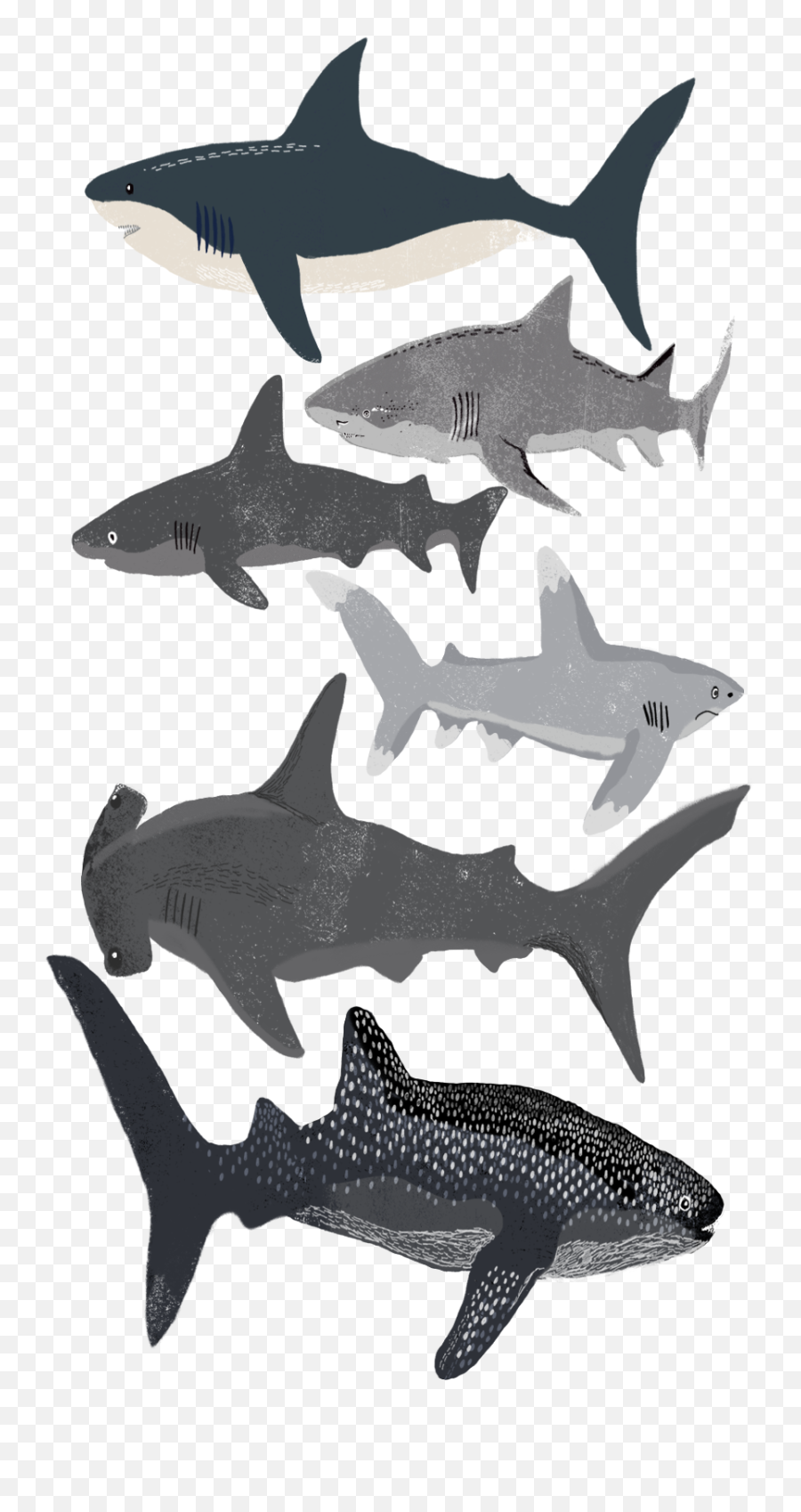 Daring - Shark Phone Case Emoji,Shark Emoji Iphone