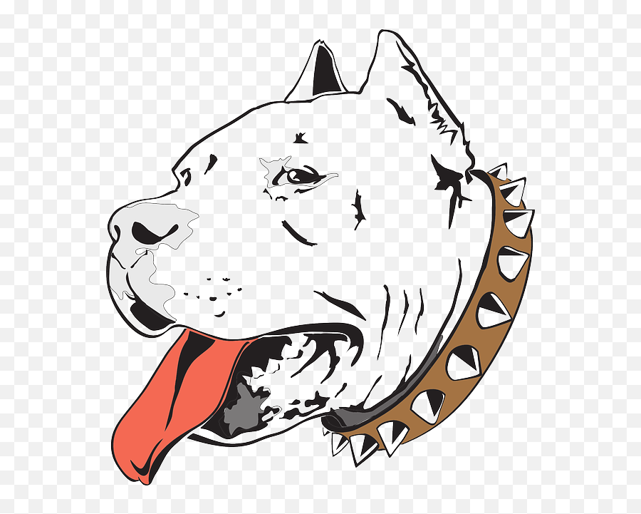 Pitbull Dog Head Transparent Png - Perros Pitbull Para Dibujar Emoji,Pitbull Emoji