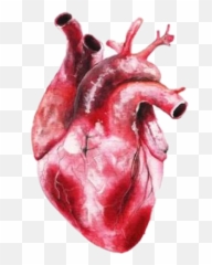 Popular And Trending Herat Stickers On Picsart - Red Meat Emoji,Herat Emoji