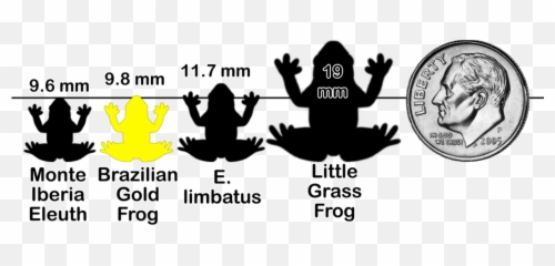 Frogchartx Y2 - Frog Emoji,6 God Emoji