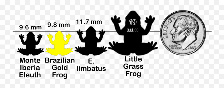 Frogchartx Y2 - Frog Emoji,6 God Emoji