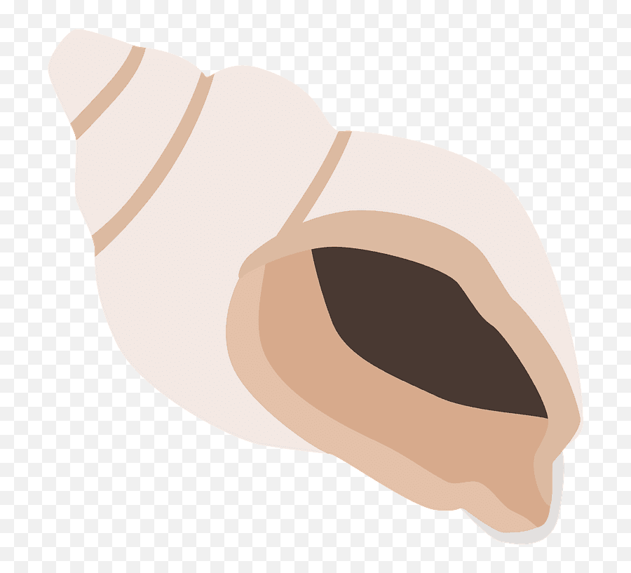 Spiral Shell Emoji Clipart - Shell Png Vector,Shell Emoji