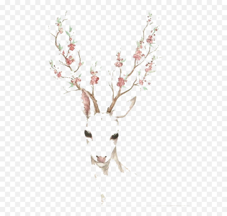 Download Elk Blossom Cherry Deer Watercolor Paper Antler - Deer Emoji,Deer Emoticon