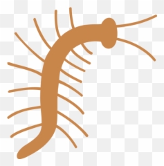 Bug Emoji For Facebook Email Sms - Clip Art,Bug Emoji