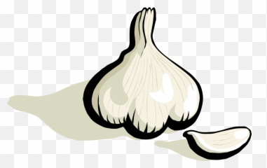 Garlic Garlic Clove Transparent Png - Garlic Clip Art Emoji,Garlic Emoji