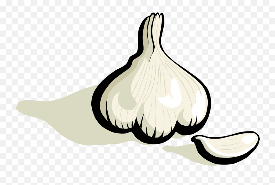 Garlic Garlic Clove Transparent Png - Garlic Clip Art Emoji,Garlic Emoji