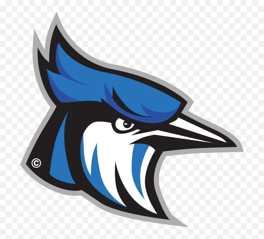 Blue Jay Head Png Free Blue Jay Head - Raytown Blue Jays Football Emoji,Blue Jays Emoji