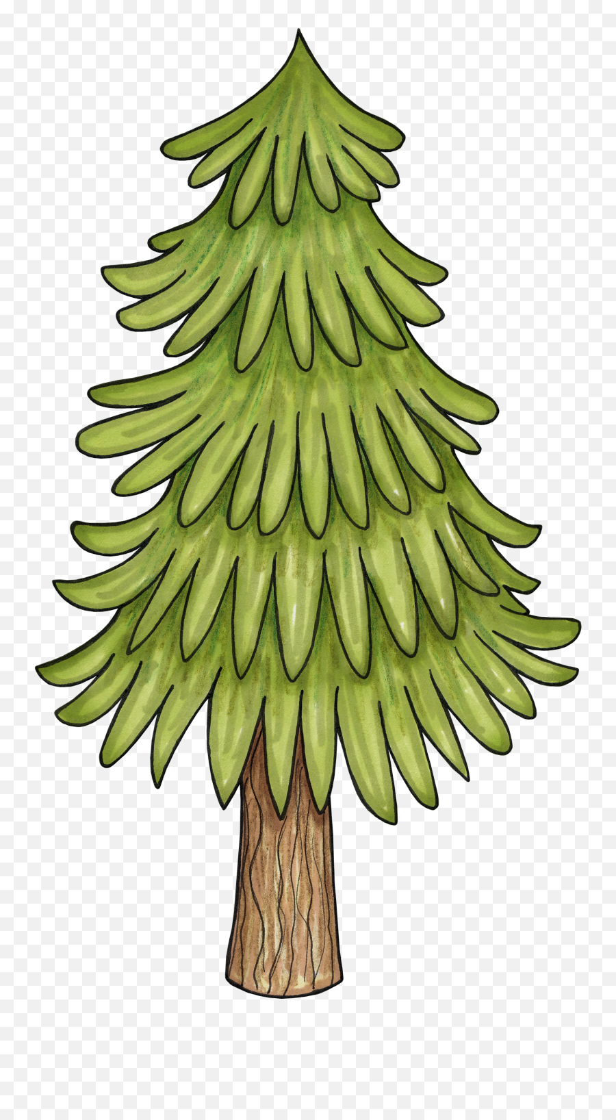 422 Best Trees Leaves Bushes - Transparent Background Woodland Tree Clip Art Emoji,Evergreen Tree Emoji