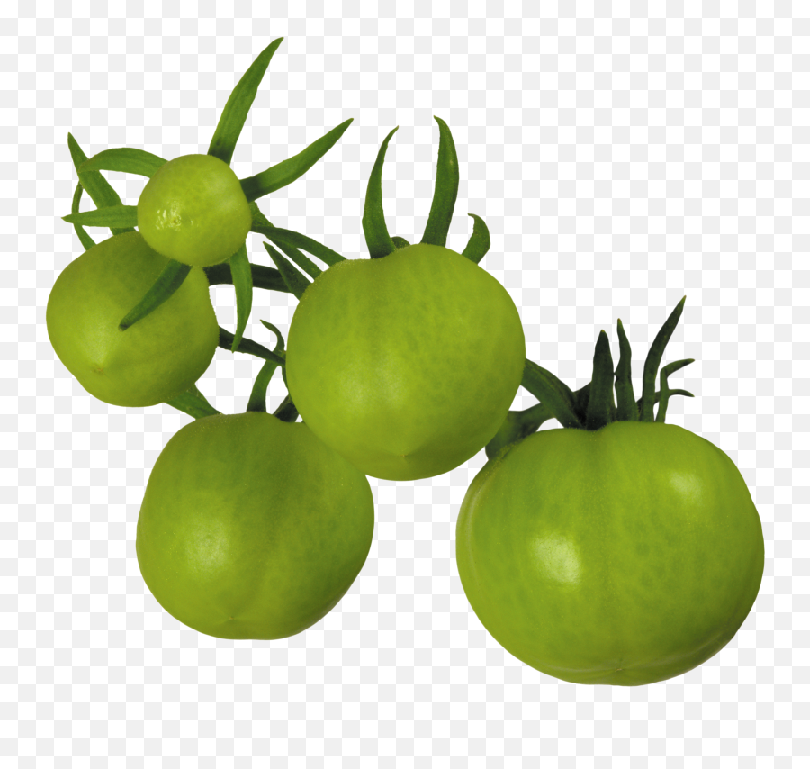 Tomato Png - Green Tomatoes Clipart Emoji,Eggplant Emoji Transparent Background