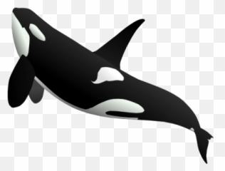 Whale Png And Vectors For Free Download - Infra Sonic Sound Animals Emoji