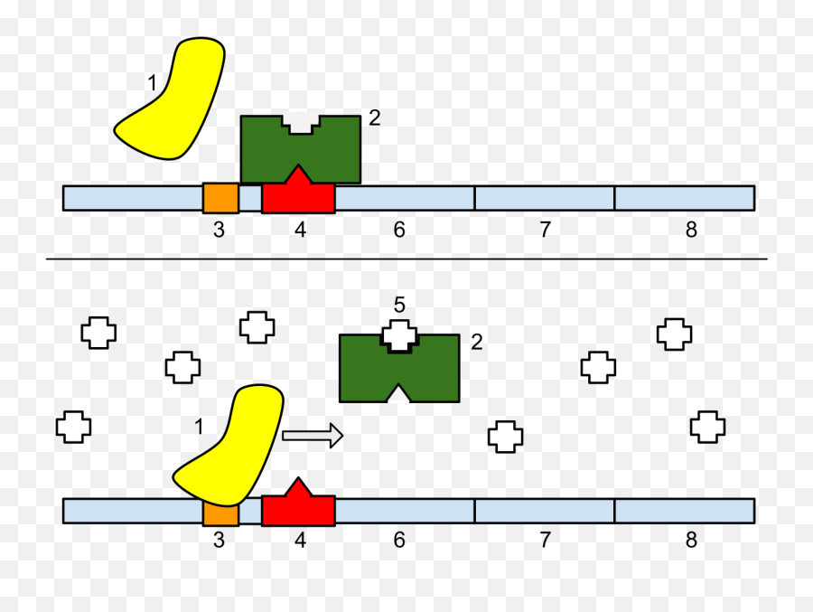 Lac Operon - Operator Definition Biology Emoji,Evolution Of Emojis