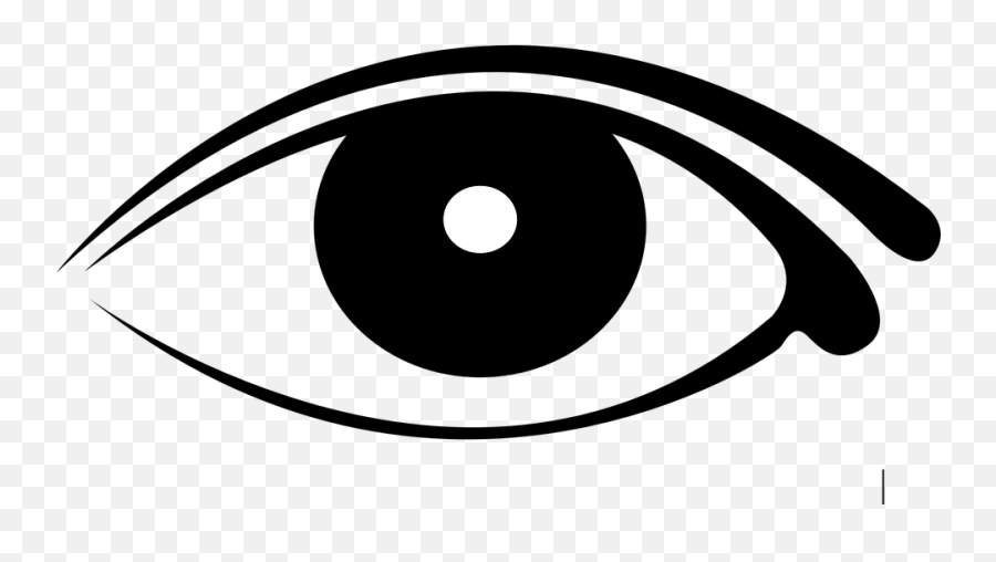 Vector Eyeball Illustrator Transparent U0026 Png Clipart Free - Transparent Background Eye Png Emoji,Eyes Popping Out Emoji