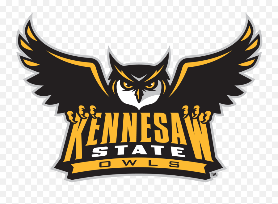 Majority Of U0027kennesaw Fiveu0027 Cheerleaders Who Took A Knee - Kennesaw State Owls Emoji,Owl Text Emoticon